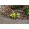 sarcia.eu Garden Fleece Weed Fleece Brown 50 g/m² with UV