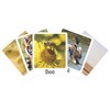 TEACH PLAY Paquete de Flash Cards Animals Idioma: Inglés 45