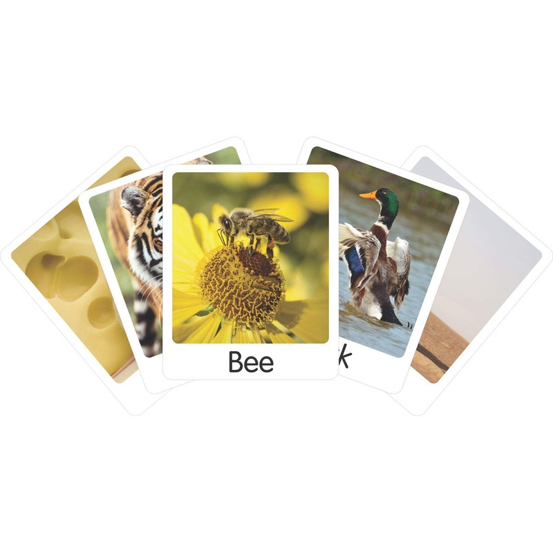 TEACH PLAY Paquete de Flash Cards Animals Idioma: Inglés 45