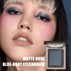 Matte Nude Blue-gray Eyeshadow - High Pigment, Intense Monochrome Buxom