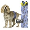 Croci Dog Nappy Suction Band for Male Dogs Pop Md