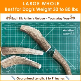 Deluxe Naturals 2-Pack Large Whole Elk Antler Dog Chews for Medium to Large Dogs 30-80 lbs (6-9+ Inch) | Long Lasting Dog Bones for Aggressive Chewers | Natural Teeth Cleaning Chew Toy