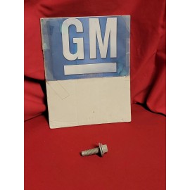 ACDelco GM Original Equipment NOS GM Belt Tensioner Bolt 11516298