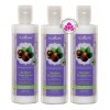 Florigan Crema Peinar Aceites Nutritivos Castanas Florigan 3piezas