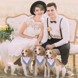 ADOGGYGO Formal Dog Tuxedo Wedding Dog Bandana Dog Wedding Tux with Bowtie Dog Birthday Costume Adjustable Dog Formal Outfit for X-Small Dogs Cats Pets (XS, Grey)