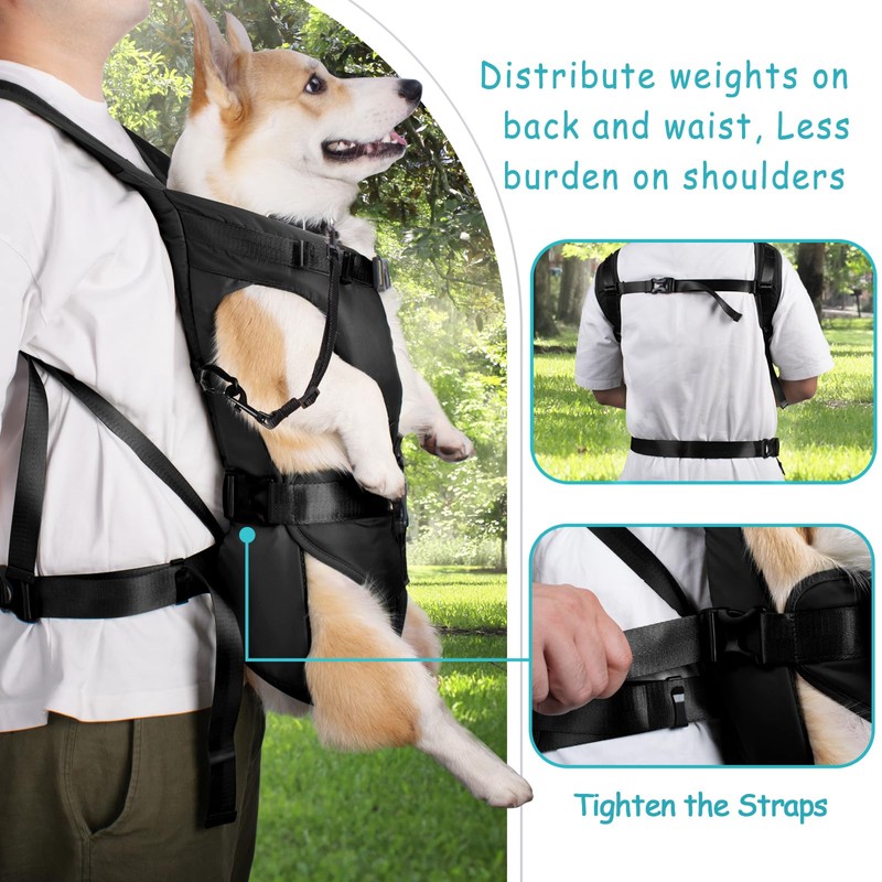 PetBonus Pet Front Dog Carrier Backpacks, Adjustable Pet Backpack, Legs