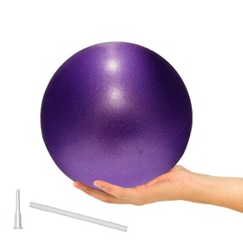 ElwynnLane 9 Inch Exercise Pilates Ball Mini Exercise Barre Ball for Yoga,Stability Exercise Training Gym Anti Burst and Slip Resistant Balls Physical Therapy Improves Balance