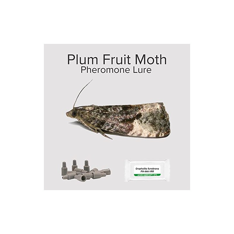 PlantPro Pack of 3 Moth Trap Attractant Pheromones Plum Fruit