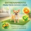 Fancy Pets Repuesto de Pasto Sintético para Tapete Doggie Grass