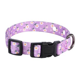 Rhea Rose 3/4 Inch Replacement Collar Strap Shock Collar with 2 Holes, Compatible with Nearly All Brands and Models of Underground Electric Dog Fences and Training Collars, Lavender Flowers