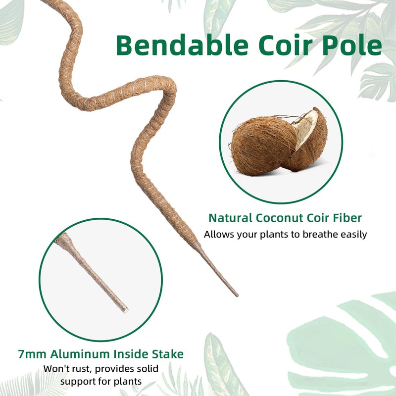 Mcbazel 63 Inch Moss Pole for Plants Monstera, Monstera Plant