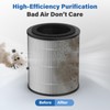 JF100 Replacement Filter, 3-in-1 H13 True HEPA and High-Efficiency Activated