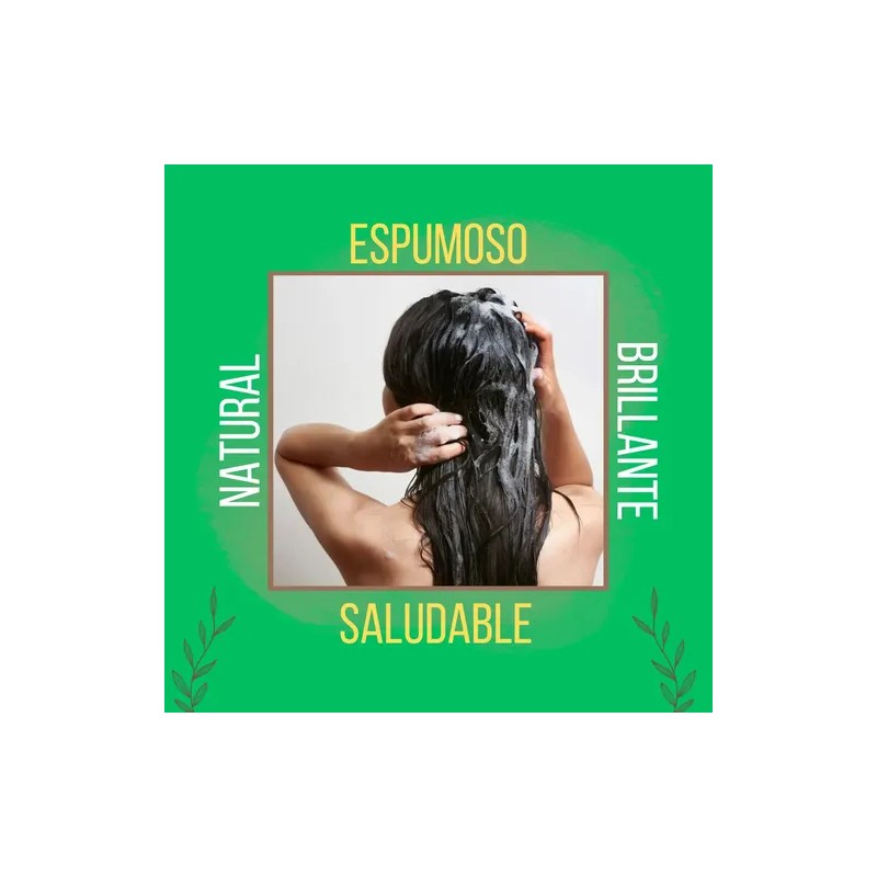 3 Set Acondicionador Hechizo Verde Coco Sábila Colageno Kit