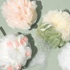 EcoTools, Delicate Ecopouf, Esponja de Baño para Piel Delicada, Ultra