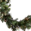National Tree Company 9 ft Pre-Lit Carolina Pine Artificial Christmas