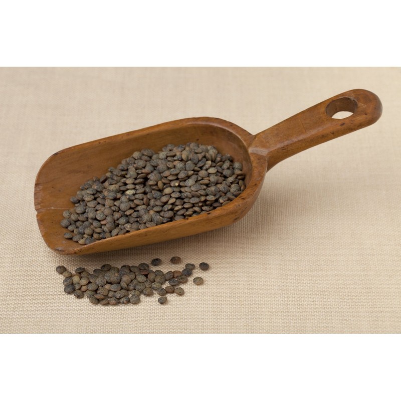 Hunza Organic French Lentils (2 lbs)