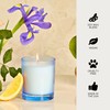 Apotheke Luxury Scented Candles for Home, Canvas - Petite Aromatherapy