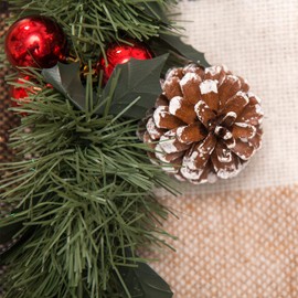 TRIXES 18PC Snow Tipped Hanging Pine Cones - Snow Dusted Pine Cones Christmas Decorations - Xmas Pine Cones Ornaments - Christmas Tree Decorations Pine Cones - White