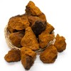 Russian deer antler pill premium type 2 + chaga mushroom