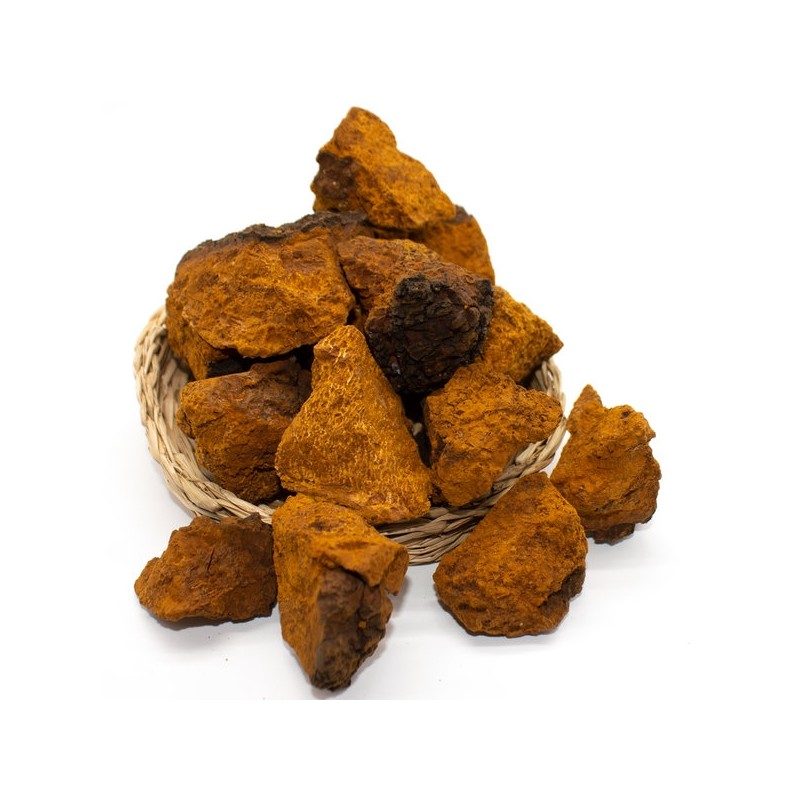 Russian deer antler pill premium type 2 + chaga mushroom