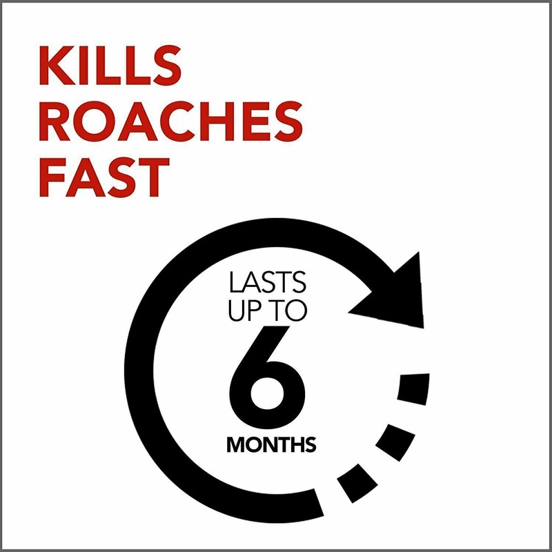 Raid Max Ant & Roach Killer, Insecticide Raid Spray, Kills