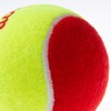 Wilson WRT137001 Tennis Ball, Sponge Ball, Starter Red, Pack of