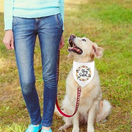 Dog Bandana, Pet Scarf Triangle Bibs Kerchief, Gender Reveal Photo Props, Dog Pregnancy Announcement, Pet Costume Accessories for Small Medium Large Dogs(Big Sister)