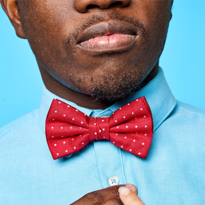 Lizzy Mens Classy Pre Made BOW TIE Wedding Party formal