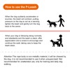 P-Leash,fangzi Dog Leash Slip Dog Leash Adjustable Slip Lead One-Piece