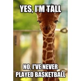 Funny  Giraffe  refrigerator magnet 2 1/2x 3  1/2 "