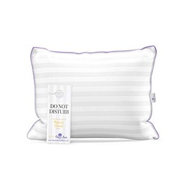 Queen Anne Pillow Company Heavenly Down Hypoallergenic Luxury Pillow - Synthetic Down Alternative for Allergy Free Sleeping - Hotel Collection - USA Made, White, Standard Medium