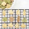 Cookie Cutter Leaf, Kitchen Fondant Cutter, Pastry Fondant Shape for