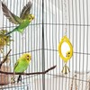Pet Bird Mirror with Bell Interactive Treat Puzzle Parrot Toy