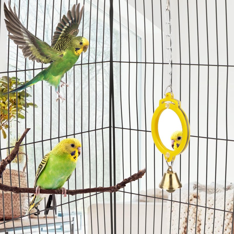 Pet Bird Mirror with Bell Interactive Treat Puzzle Parrot Toy