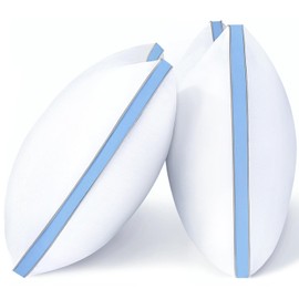 viewstar Pillows Queen Size Set of 2, Bed Pillows for Sleeping, Queen Pillows 2 Pack for Back and Side Sleepers, Fluffy Pillows for Bed with Down Alternative, Machine Washable, Light Blue, 20" x 30"