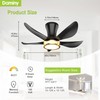 DAMINY 30 Inch Black and Gold 5 Blade Ceiling Fan