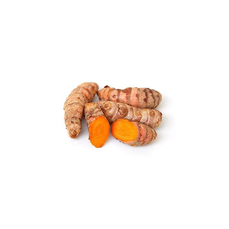 Fresh Wild Turmeric from Fiji by NINESHANI 1LB (4)