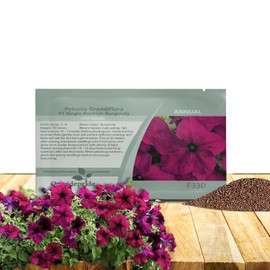 Outsidepride Burgundy Petunia Grandiflora Seeds - 500 Pcs. Annual, Compact & Versatile Flower Seeds for Planting Low Growing Vibrant Blooms for Garden Beds, Hanging Baskets & Container Displays