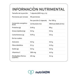 Iron Support - Suplemento Nutriadn