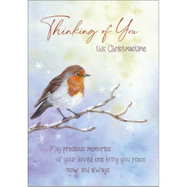 doodlecards Thinking Of You Christmas Card Watercolour Robin In The Frost Medium Size Christmas Card for Thinking Of You with Plain Envelope