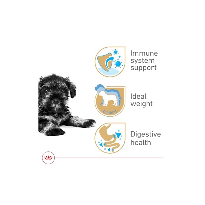 ROYAL CANIN, Puppy - Mini Schnauzer, Croquetas Perro, 1.1kg