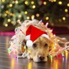 Mini Dog Santa Hat for Dogs Christmas Hat,Small Cat Santa