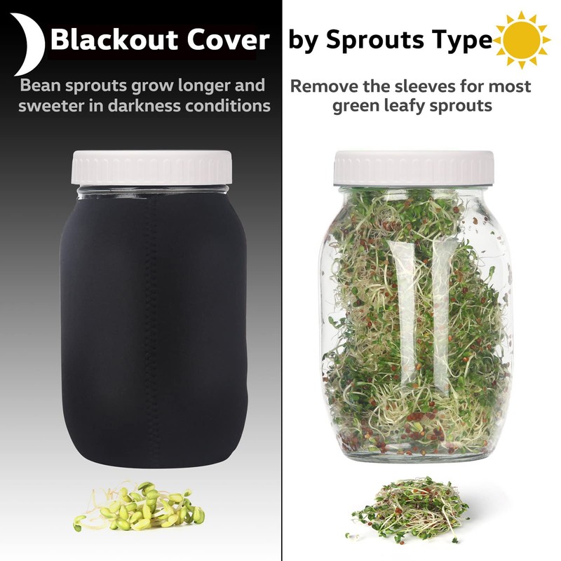 Complete Sprouting Jar Kit| 2 Wide Mouth Mason Jars, 316