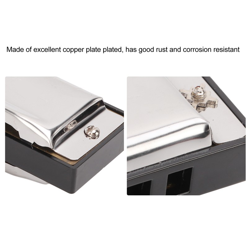 G Key Harmonica 10 Hole 20 Tone Mouth Organ Rust