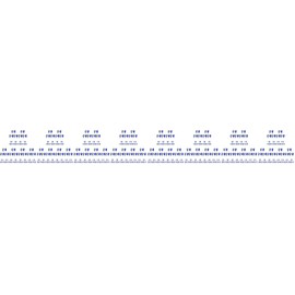Perfect Polyskin Size 09 (L)