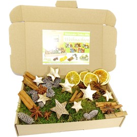 MGS Shop Decoration - Christmas Mix Craft Set, Creative Idea, Nature, Decoration with Moss, Anise, Cinnamon, Orange Slices, Coconut Star