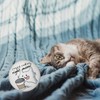 Round Cat Magnet with Saying I Need Coffee Right Meow