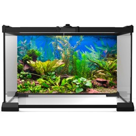 Aquarium Background Various Underwater Grass Plants Fish Tank Background Vivid Fresh Green Aquatic Plants Stone River Bed Dead Wood Purple Stone Terrarium Wallpaper 36x18in