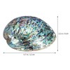 Veemoon Polished Abalone Shell Abalone Shell Smudge Bowl Home Abalone