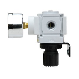 PneumaticPlus PPR2-N02BG-2 Miniature Air Pressure Regulator 1/4" NPT - Gauge, Bracket, Instrument Pressure (3-30 PSI)